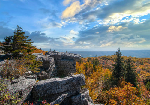 The Job Market in Monongalia County, West Virginia: An Expert's Perspective